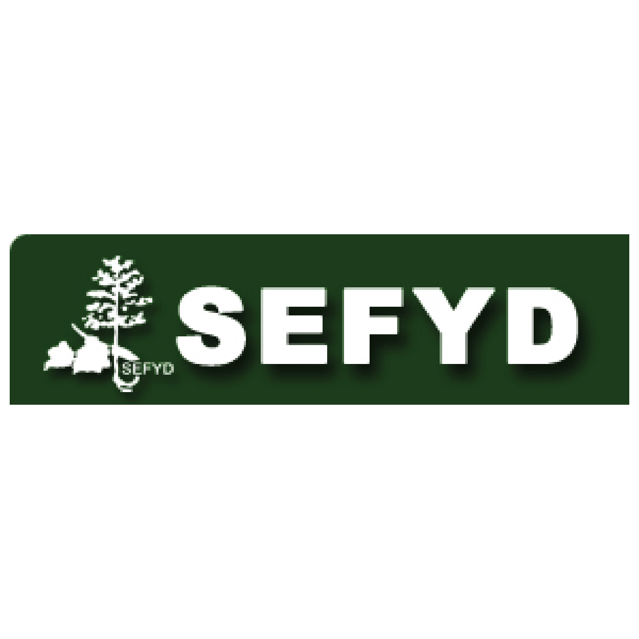 Logo SEFYD