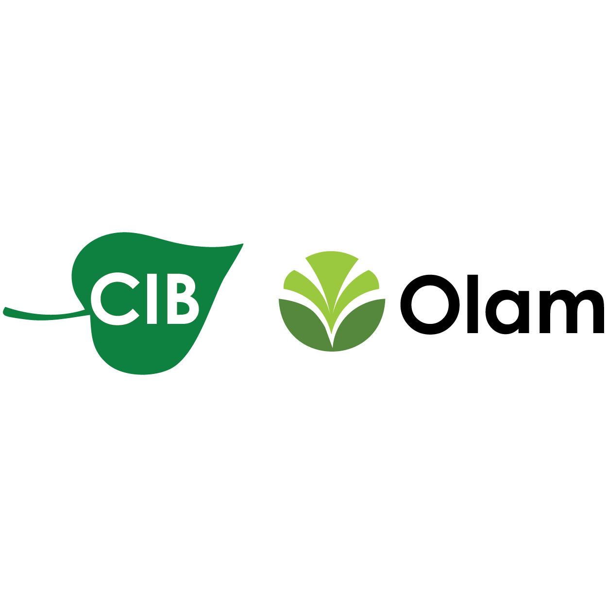 LOGO CIB OLAM