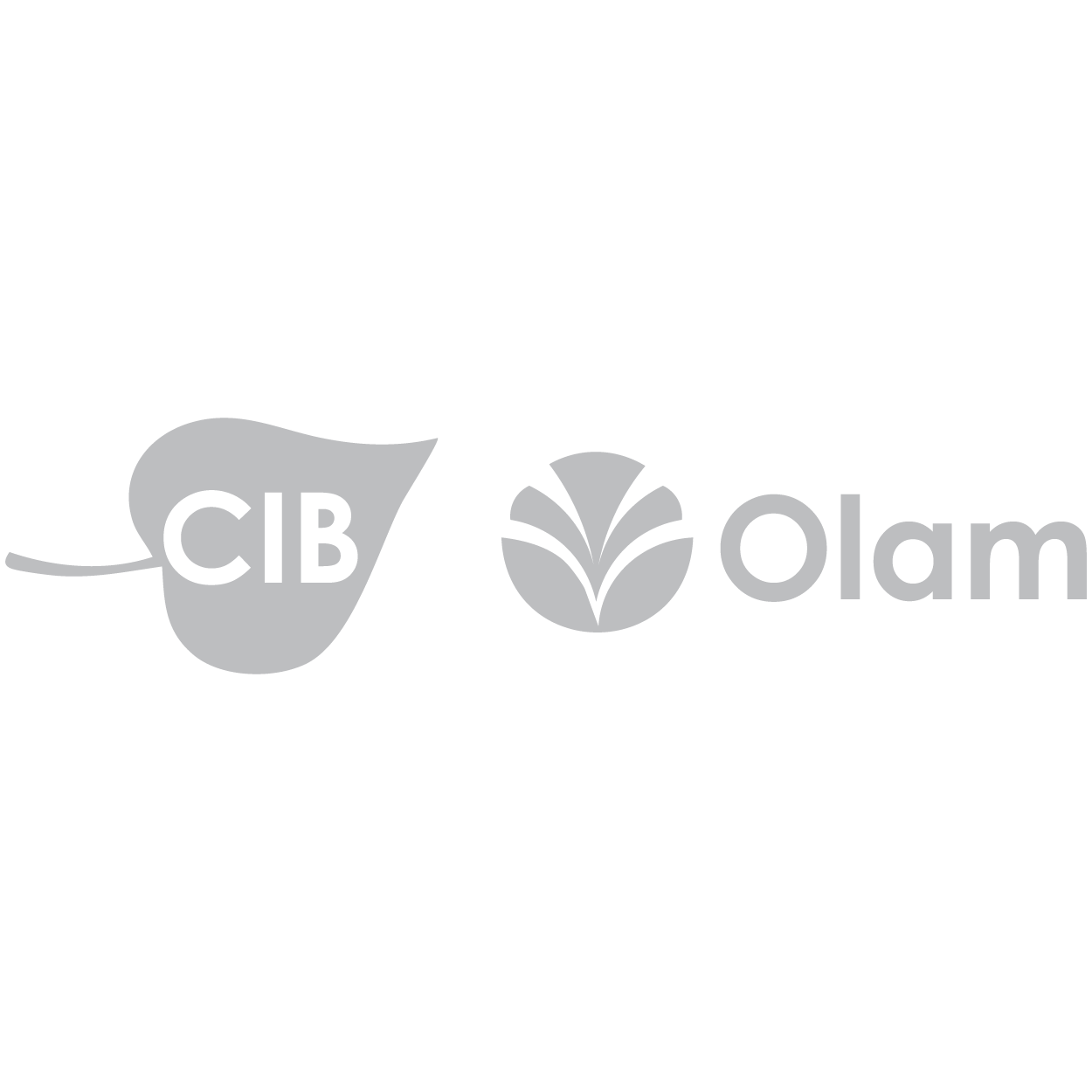 LOGO CIB OLAM