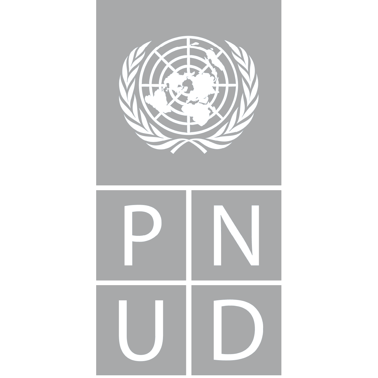 LOGO PNUD