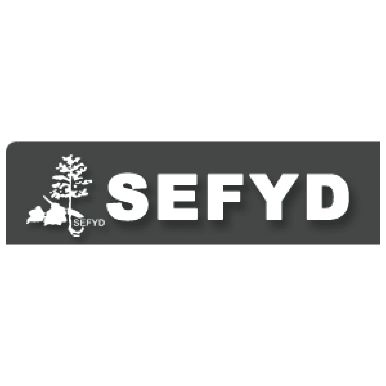 LOGO SEFYD